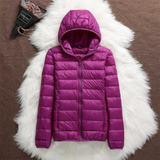 Daisy - Transitional Coat