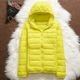 Beatriz - Transitional Coat