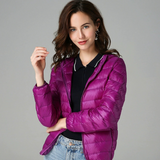 Daisy - Transitional Coat
