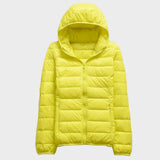 Beatriz - Transitional Coat