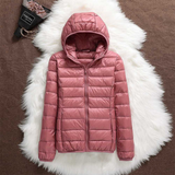 Catarina - Transitional Coat