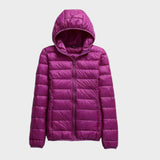 Daisy - Transitional Coat